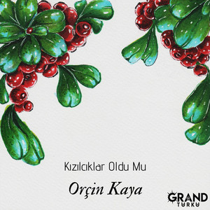 Orçin Kaya - Kızılcıklar Oldu Mu