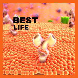 Best Life by Rosy Schiavo