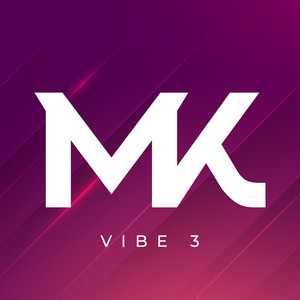 VIBE 3 cover art