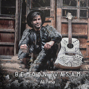 Bemoon Vasam