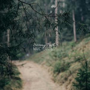 Stormy Path by Marc Fearzell