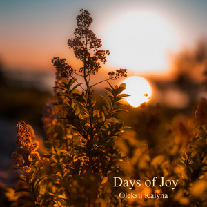 Обкладинка: Days of Joy
