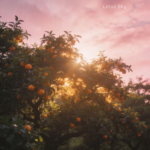 Under the trees by Lotus Sky