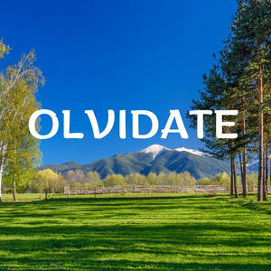 Olvidate by B Dany