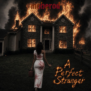 A Perfect Stranger by moberod