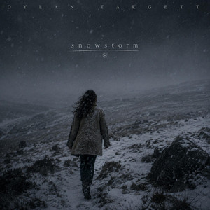 Snowstorm by Dylan Targett