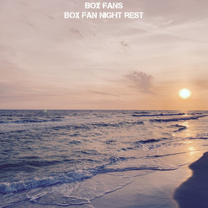 Box Fan Night Rest