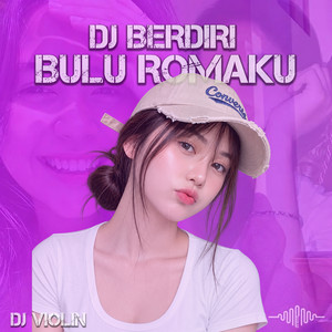 DJ Berdiri Bulu Romaku by DJ Violin