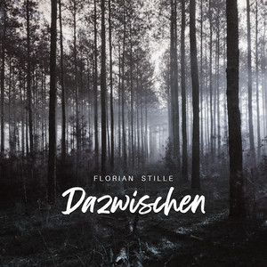 Dazwischen by Florian Stille