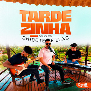 Tô Xonado Sem Quantia - Ao Vivo by Forrozão Chicote D' Luxo