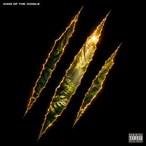 King Of The Jungle by YAWA