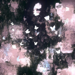 Too Comfortable (feat. Rōzu! & Pamane)