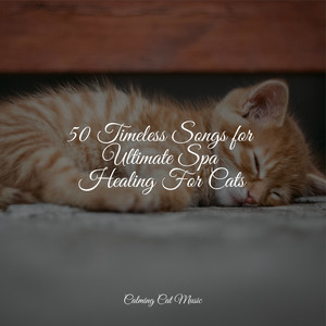 50 Timeless Songs for Ultimate Spa Healing For Cats album
