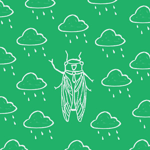 cicada by hemidemisemi, EMTONIC, Onlyfriend