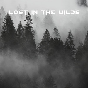 Lost in the Wilds by Rob Christman's Boondock Metal Wailers, Sonia Hutchinson