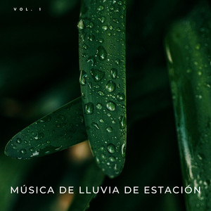 Música De Lluvia De Estación Vol. 1 album
