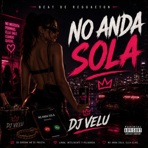 No Anda Sola by Dj Velu