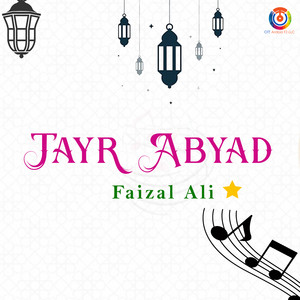 Faizal Ali - طير ابيض
