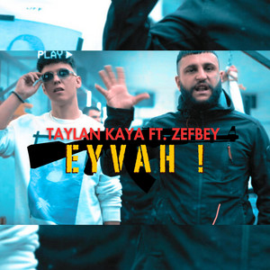 Eyvah ! by Taylan Kaya, Zefbey