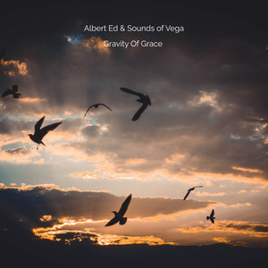 Gravity Of Grace by Albert Ed, Sounds of Vega