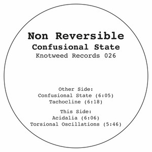 Tachocline by Non Reversible