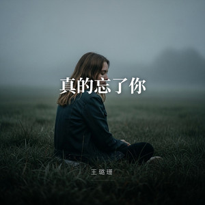 真的忘了你 by 王璐珊