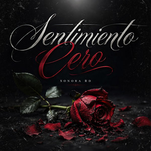 Sentimiento Cero by Sonora RD