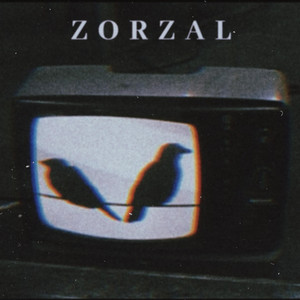 Zorzal