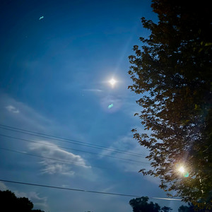 UNKNOWNIDIOT - HOPEIDIE