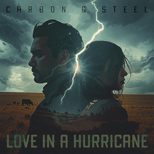 Love in a Hurricane by Carbon and Steel