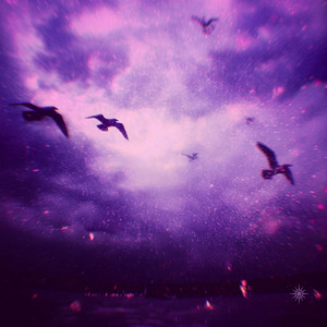 piece of life by rareeast