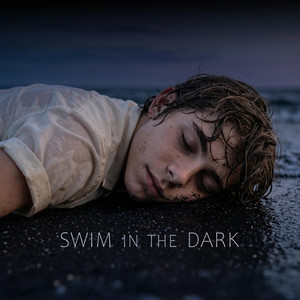 Swim in the Dark by Chaisen Hale
