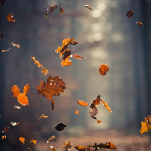 Daniel Beatz - Breeze