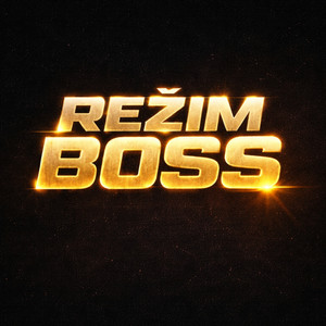 REŽIM BOSS by Petr svadbík