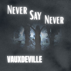 Never Say Never by Vauxdeville