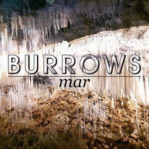 Burrows cover