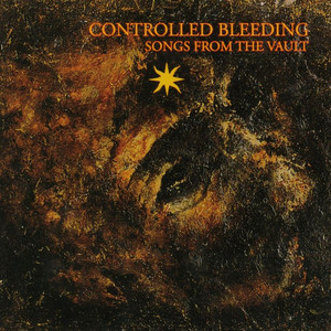 Headcrack Pt. 3 (Music for 3 Guitars) by Controlled Bleeding