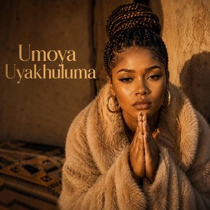 Ngizwile by Ndou Advocate
