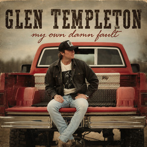 My Own Damn Fault by Glen Templeton