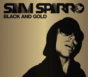 Black & Gold Radio Edit