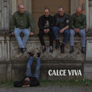 Amico by Calce Viva