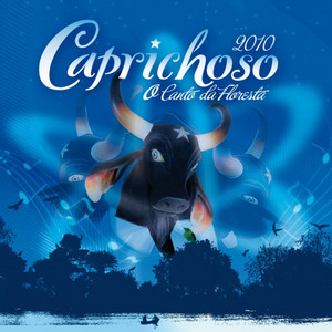 Instrumental da Floresta by Boi Bumbá Caprichoso