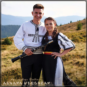 Aliana Vecerzan - Așa Vorbesc Pretinii