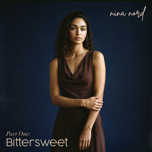 I Didn't Break by Nina Nord