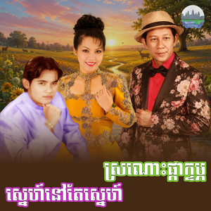ស្រណោះ​ផ្កា​ក្ទម្ភ​ ស្នេហ៍​នៅ​តែ​ស្នេហ៍ by ណូយ វ៉ាន់ណេត, សួន ចន្ថា, ឆោម ប៊ុនយ៉ុង