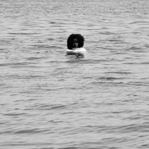 Find it by DVYN