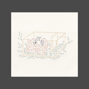 Blind by Shuttle