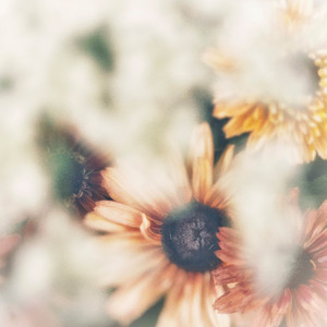 Simon Wester — Peaceful Love (2026)