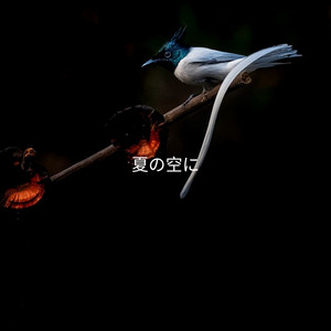 夏の空に