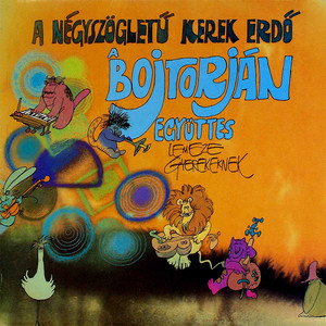 Négyszögletű kerek erdő cover